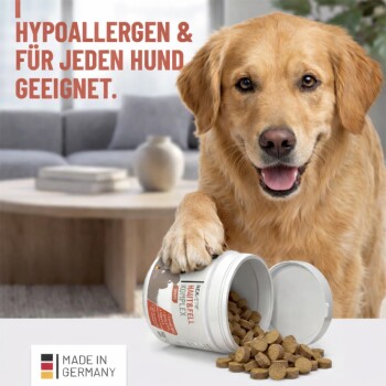 Golden Retriever mit Pfote auf umgestürztem Supplement-Behälter und verstreuten Tabletten; Text: 'HYPOALLERGEN & FÜR JEDEN HUND GEEIGNET.' und 'MADE IN GERMANY'.
