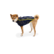 Ein Shiba Inu Hund trägt eine marineblaue Fleecejacke mit bunten Punkten und gelben Reißverschlüssen, stehend vor einem weißen Hintergrund.