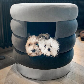 Hundebett Choupette grau