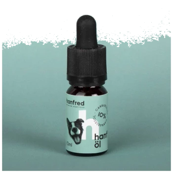 Flasche mit Hanföl für Hunde, beschriftet mit "hanfred" und einer lächelnden Hundillustration, mit den Angaben "10% Cannabidiol" und "10ml".