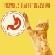 An orange tabby cat reaches for a stomach icon with arrows on a yellow background, with the text "PROMOTES HEALTHY DIGESTION."