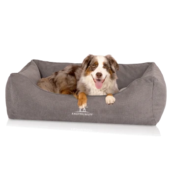 Ein glücklicher Australian Shepherd Hund, der in einem gemütlichen grauen Haustierbett mit dem Logo "KNUFFELWUFF" sichtbar auf der Vorderseite entspannt.