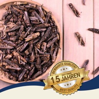 Schale mit getrockneten Grillen auf einer Holzoberfläche mit goldenem Abzeichen „Beste Qualität, 15 Jahre“ auf Deutsch.
