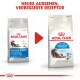 Vergleich der Verpackung von Royal Canin Indoor Long Hair Katzenfutter, mit neuem Design und verbesserter Formel, mit Text auf Deutsch.