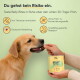 Eine Frau füttert einen kleinen Hund mit einem Leckerli, mit einer Tabelle, die die täglichen Fütterungsempfehlungen für verschiedene Hunderassen zeigt und Bildern von Hundefutterpellets.