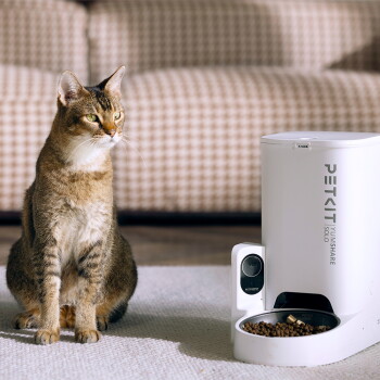 Getigerte Katze neben einem weißen PETKIT-Automatenfutterspender mit Trockenfutter und einer kleinen Kamera; der Text 'PETKIT' ist sichtbar.