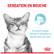Un chat tigré gris content avec les yeux fermés, accompagné d'un texte mettant en avant sa texture unique qui améliore l'expérience de repas pour les chats.