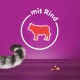 Der gestreifte Schwanz einer Katze ist links sichtbar, mit einem lila Hintergrund, der eine rote Kuhsilhouette und den Text "mit Rind" zeigt.