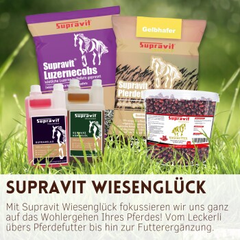 Supravit WiesenGlück: Pferdefuttersäcke (Luzernecobs, Pferdefutter), Ergänzungsmittel-Flaschen und Hagebutten-Dose.