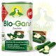 Dose mit "Bio-Gans Zucchini" Hundefutter, das Zucchini-Illustrationen zeigt, mit Text, der es als getreidefrei, glutenfrei und laktosefrei hervorhebt.