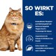Prescription Diet k/d + Mobility Feline mit Huhn 12x85 g
