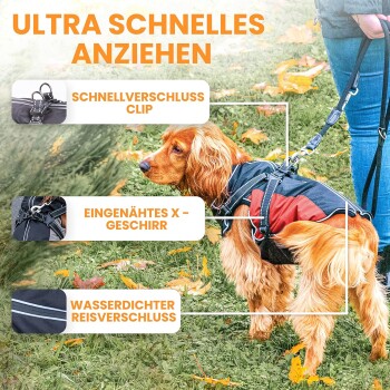 Ein Hund in einem stilvollen Geschirr steht auf Gras mit Herbstblättern und hebt Merkmale hervor: Schnellverschlussclip, eingenähtes X-Gear, wasserdichter Reißverschluss.