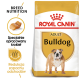 Torba z jedzeniem dla dorosłych psów Royal Canin Bulldog z wizerunkiem buldoga, z tekstem podkreślającym odżywianie rasy i redukcję zapachów.