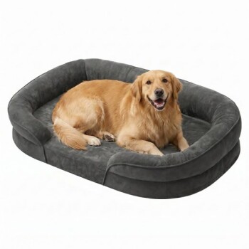 Golden Retriever lächelnd und liegend in einem grauen Plüsch-Ovalhundebett auf weißem Hintergrund