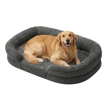 Golden Retriever lächelnd und liegend in einem grauen Plüsch-Ovalhundebett auf weißem Hintergrund