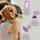 Eine Person hält einen Golden Retriever Welpen, der hochwertiges deutsches Haustierfutter ohne Zusatzstoffe, Getreide, Gluten und Zucker bewirbt.