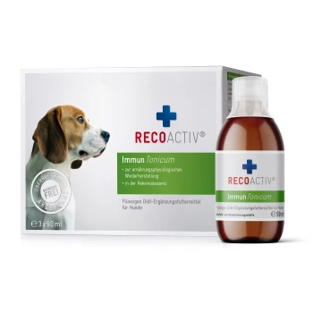 Ein Beagle-Hundprofil neben einer Box von RECOACTIV Immun Tonicum, einem flüssigen Nahrungsergänzungsmittel für Hunde, mit einer sichtbaren 90 ml Flasche.