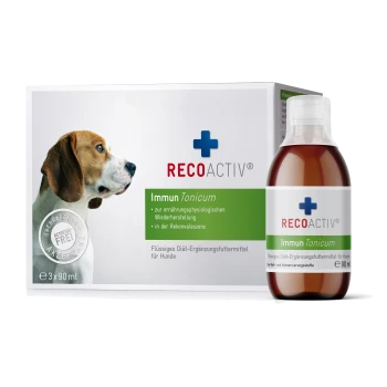 Ein Beagle-Hundprofil neben einer Box von RECOACTIV Immun Tonicum, einem flüssigen Nahrungsergänzungsmittel für Hunde, mit einer sichtbaren 90 ml Flasche.