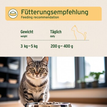 Eine getigerte Katze sitzt neben einer Futterschüssel, mit einem Fütterungsdiagramm darüber, das Empfehlungen für ein Gewicht von 3-5 kg und 200-400 g täglich zeigt.
