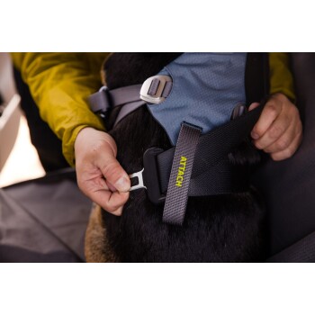 Eine Person, die ein Hundegeschirr in einem Fahrzeug befestigt, mit einer Nahaufnahme des Geschirrverschlusses, auf dem das Wort 'ATTACH' sichtbar ist.