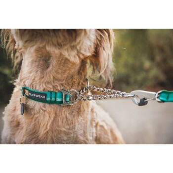 Nahaufnahme des Halses eines Hundes, der ein grün-blau gestreiftes Halsband mit einer Metallkette trägt, auf dem der Markenname "RUFFWEAR" zu sehen ist.