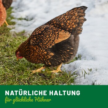 Ein braunes Huhn sucht auf grünem Gras mit Schneeresten nach Futter, begleitet von dem Text "NATÜRLICHE HALTUNG für glückliche Hühner" am unteren Rand.