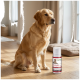 Golden Retriever sitzt drinnen neben einer Flasche Haustierserum mit der Aufschrift "SUPPORT" und einem kleinen Hundebild auf dem Etikett.