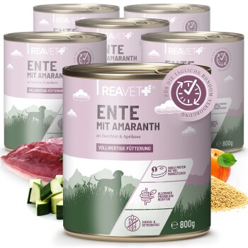 Dosen mit Haustierfutter mit der Aufschrift "ENTE MIT AMARANTH an Zucchini & Aprikose" mit Zutaten wie Ente, Zucchini und Aprikose, jeweils 800g.