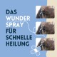Bild zur Förderung eines Heilungssprays für Pferde, mit Nahaufnahmen eines Pferdeauges mit einer Wunde und dem Text: "Das Wunderspray für schnelle Heilung."