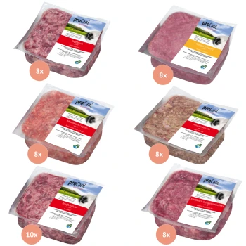 Sechs Pakete proCani-Hundefutter, mit verschiedenen Fleischsorten wie Rind und Huhn, mit Etiketten, die Menge und Produktdetails anzeigen.