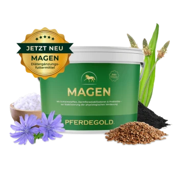 Grüner Eimer beschriftet mit "PFERDEGOLD" mit dem Text "VERDAUNUNGSGLÜCK", umgeben von Samen, einem Apfel und einem Wurzelgemüse.