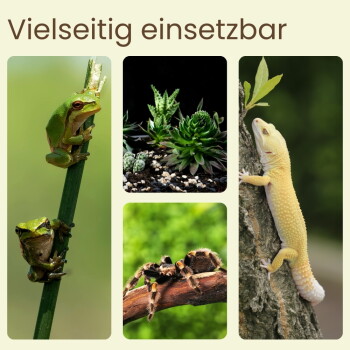 Collage „Vielseitig einsetzbar“: zwei grüne Laubfrösche, Sukkulenten, eine Vogelspinne auf einem Ast und ein blasser Gecko auf Baumrinde.