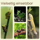 Collage „Vielseitig einsetzbar“: zwei grüne Laubfrösche, Sukkulenten, eine Vogelspinne auf einem Ast und ein blasser Gecko auf Baumrinde.