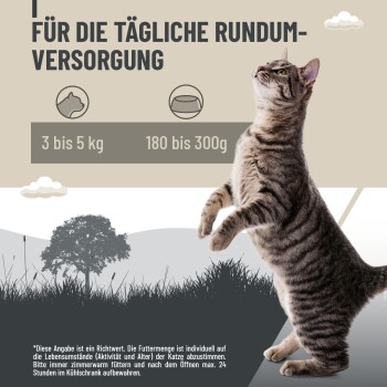 Getigerte Katze steht auf den Hinterbeinen mit deutschem Text zu täglichen Fütterungsempfehlungen für Katzen von 3 bis 5 kg, 180 bis 300 g Futter.