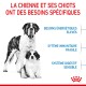 Mère Saint Bernard et chiot avec un texte sur leurs besoins spécifiques : haute énergie, système immunitaire faible, digestion sensible.