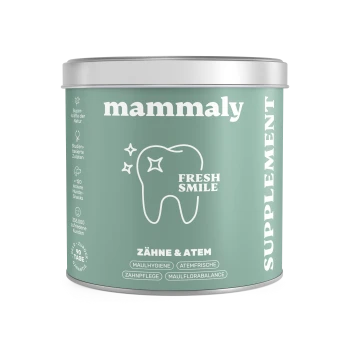 Mintgrüne Mammaly-Nahrungsergänzungsdose mit der Aufschrift 'Fresh Smile', Zahn-Symbol, Text 'Zähne & Atem' und vertikalem Schriftzug 'SUPPLEMENT'.