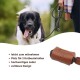 Ein glücklicher schwarz-weißer Hund wird von einer Person ausgeführt, mit einem Leder-Abfallbeutelhalter, der seine Tragbarkeit und Qualität zeigt.
