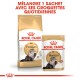 Persan Adulte Croquettes Chat 400 g