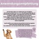 ALPHAZOO-Team in einem Online-Haustiergeschäft, das Menschen mit Hunden zeigt und nachhaltige Haustierprodukte aus Dortmund, Deutschland, bewirbt.