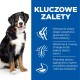 Bernerski pies górski z czerwoną obrożą siedzi po lewej stronie, obok polskiego tekstu na niebieskim tle wymieniającego korzyści takie jak wsparcie stawów i zdrowie skóry.