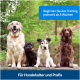 Vier Hunde verschiedener Rassen sitzen auf einer Holzplattform in einem grünen Wald. Text: "Ab 8 Wochen trainieren" und "Für Hundebesitzer und Profis."