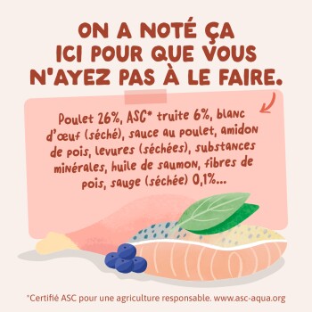 Image de nourriture pour animaux avec en-tête 'On a noté ça...', liste d'ingrédients, filet de saumon, poulet et baies