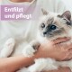 Eine Person hält eine flauschige Katze, mit dem Text 'Entfilzt und pflegt' in der oberen linken Ecke, was auf Pflege und Betreuung hinweist.