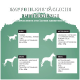 Diagramm der täglichen Futterempfehlungen für erwachsene und ältere Arbeitshunde nach Größe: kleine, mittelgroße, große und riesige Rassen mit Beispielen.