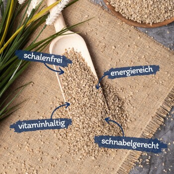 Eine Holzschaufel mit hellen Samen auf Jute, beschriftet mit "schalenfrei," "energierich," "vitaminhaltig," und "schnabelgerecht."