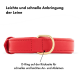 Rotes Halsband für Haustiere mit einem goldenen D-Ring für eine einfache Befestigung der Leine, mit Text auf Deutsch über eine schnelle und einfache Leinenverbindung.