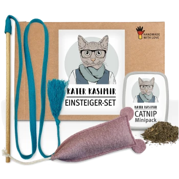 Ein Katzenspielzeug-Startset mit einem Katzenminze-Mini-Paket, einem rosa Filzmausspielzeug und einem blauen Federstab, alles auf einem Kartonhintergrund präsentiert.