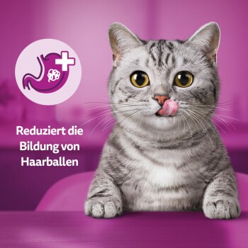 Eine verspielte graue getigerte Katze mit gelben Augen leckt sich die Lippen vor einem rosa Hintergrund. Text: "Reduziert die Bildung von Haarballen."