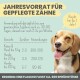 Ein lächelnder Beagle mit herausgestreckter Zunge neben einem Text über ein einjähriges Zahnpflegeprodukt für Haustiere, einschließlich Dosierungsanweisungen.