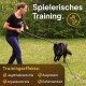 Eine Frau trainiert einen schwarzen Hund auf Gras, mit Text: "Spielerisches Training" und Effekten: "Jagttriebkontrolle," "Impulskontrolle," "Auspowern," "Gehorsamkeit."